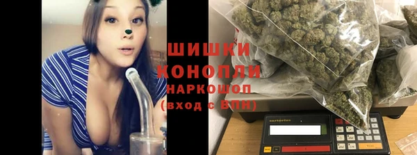 индика Магадан