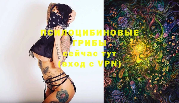 apvp Магас
