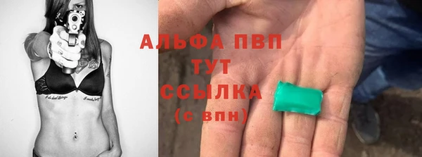 индика Магадан