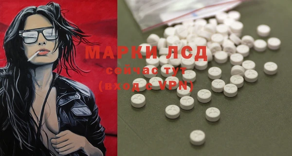 apvp Магас