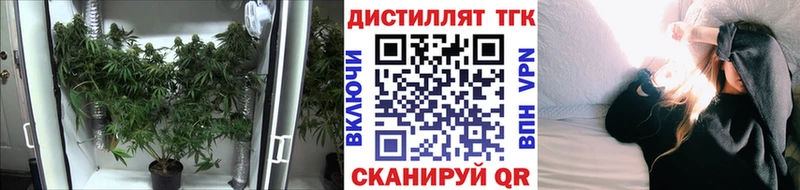 Дистиллят ТГК Wax  Купить где  Кольчугино 