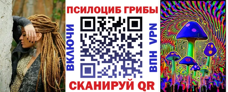 Купить где  Кольчугино  Галлюциногенные грибы Psilocybe 